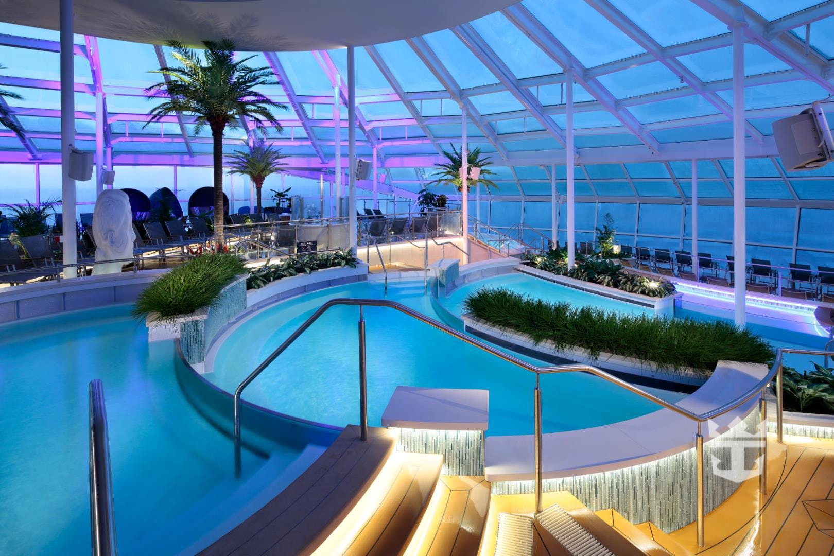 Quantum of the Seas Solarium indoor pool with purple lighting
