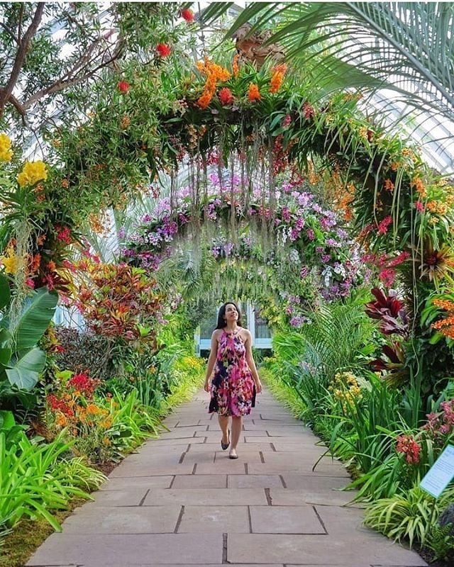 Singapore Botanical Garden orchid corridor